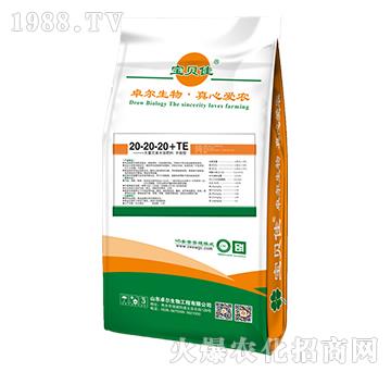 大量元素水溶肥料20-20-20+TE-寶貝佳-卓爾