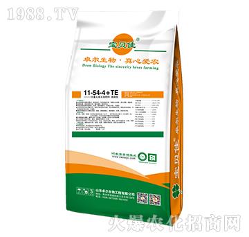 大量元素水溶肥料11-54-4+TE-寶貝佳-卓爾