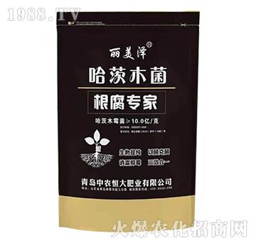 根腐專家-哈茨木菌-中農(nóng)恒大