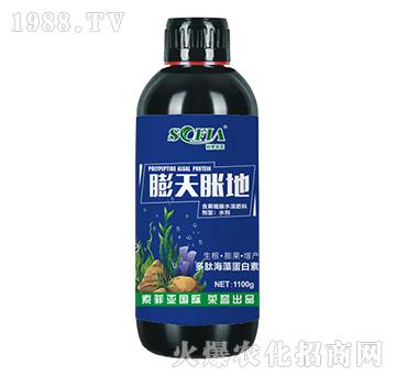 含腐植酸水溶肥料-膨天脹地-索菲亞