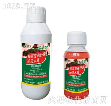 微生物菌劑-苗益護(hù)-拜迪斯