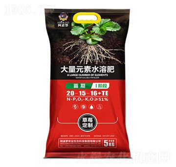 草莓苗期專用大量元素水溶肥-阿波羅