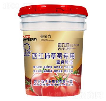 西紅柿草莓專用含腐植酸水溶肥料-九片綠-益農(nóng)豐肥業(yè)