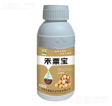 土豆專用肥 禾粟寶 金滿盈農(nóng)業(yè)