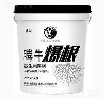 微生物菌劑-爆根1號(hào)-騰牛