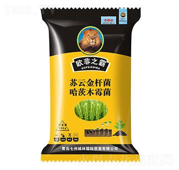 小麥肥特種肥-歐非之霸