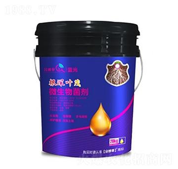 壯主根生側(cè)根 根深葉茂 分辨率生物