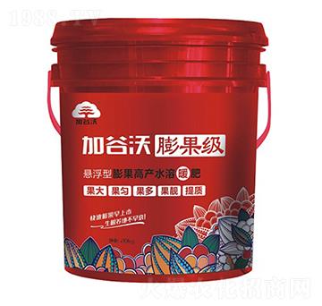 懸浮型膨果高產(chǎn)水溶暖肥 膨果級 加谷沃