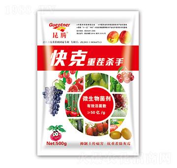 微生物菌劑-快克重茬殺手-昆騰農(nóng)業(yè)