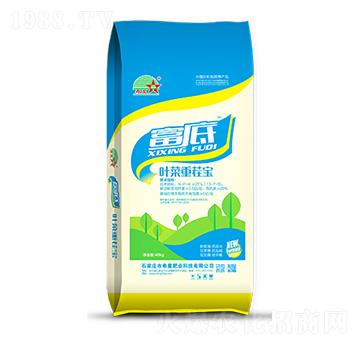 葉菜重茬寶復合微生物菌肥-富底-希星肥業(yè)