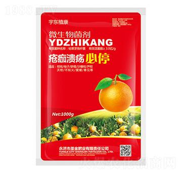 微生物菌劑-瘡痂潰瘍必停-圣金肥業(yè)