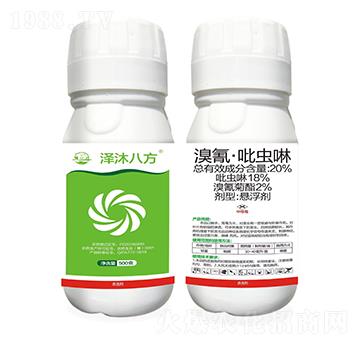 20%衤x-