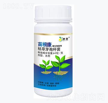 枯草芽孢桿菌-苗根康-沐谷生物