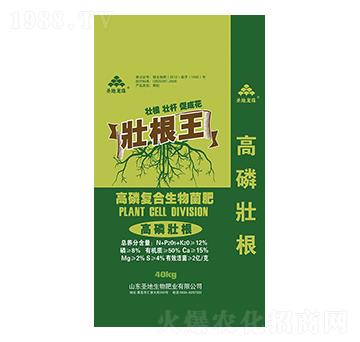 高磷復(fù)合生物菌肥-壯根王-圣地