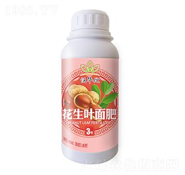 花生葉面肥3號(hào)-沃華佗-漢美農(nóng)業(yè)