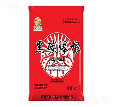 黑碳爆根微生物菌劑-光碳生態(tài)