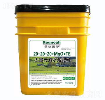 大量元素水溶肥20-20-20+MgO+TE-雷格諾亞-金谷丁