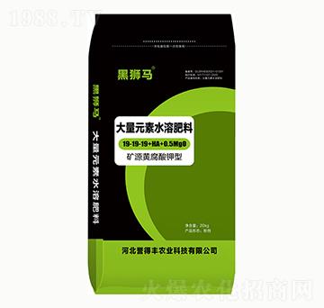 礦源黃腐酸鉀型大量元素水溶肥料19-19-19+HA+0.5MgO-黑獅馬-譽(yù)得豐