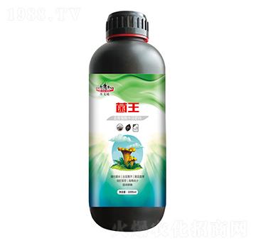 含腐植酸水溶肥料-菌王-山東炬懷生物