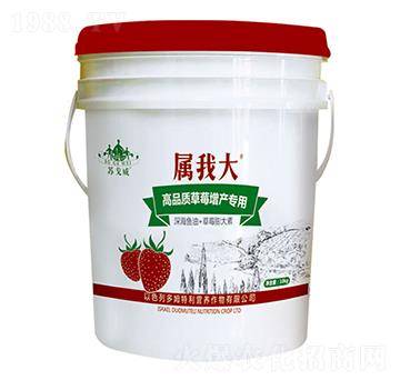 高品質(zhì)草莓增產(chǎn)專用肥-屬我大-山東炬懷生物