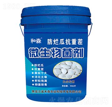 白瓜專用防爛瓜抗重茬微生物菌劑-禾森農(nóng)業(yè)