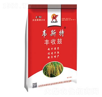 早熟鼓粒精華粉-韋斯特-愷樂農(nóng)業(yè)