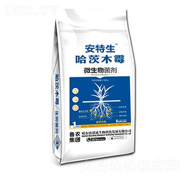 哈茨木霉-安特生-魯農集團