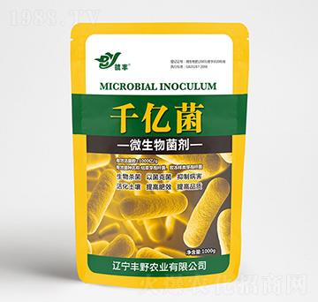 微生物菌劑-千億菌-豐野農(nóng)業(yè)