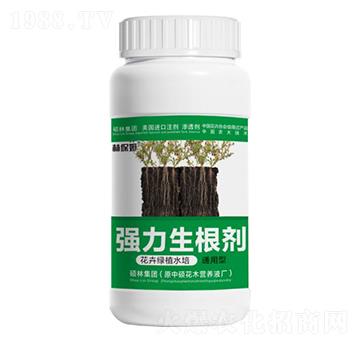 花卉綠植水培通用型強力生根劑-林保姆-碩林肥料