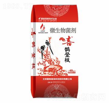 微生物菌劑（粉劑）-喜鵲登枝-晨奧潤(rùn)澤