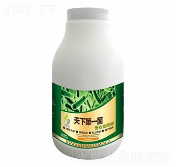 微生物菌劑-天下一菌-晨奧潤澤