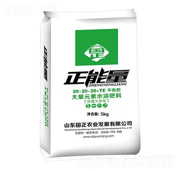 大量元素水溶肥料20-20-20+TE-國(guó)正-正能量