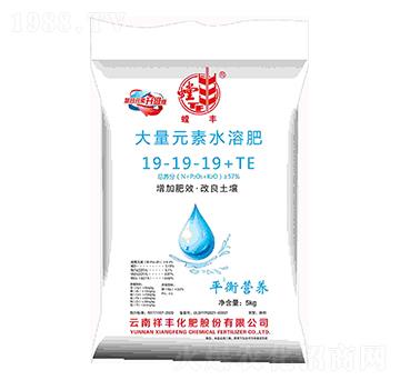 大量元素水溶肥料19-19-19+TE-螳豐-祥豐集團