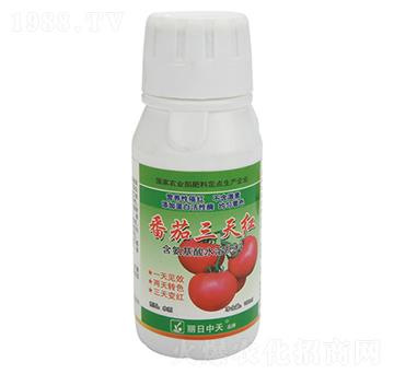 含氨基酸水溶肥料-番茄三天紅-中天肥業(yè)