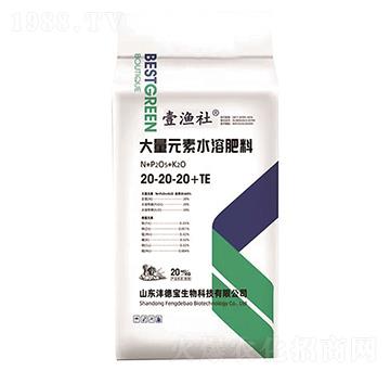 大量元素水溶肥料20-20-20+TE-壹漁社-華洋商社