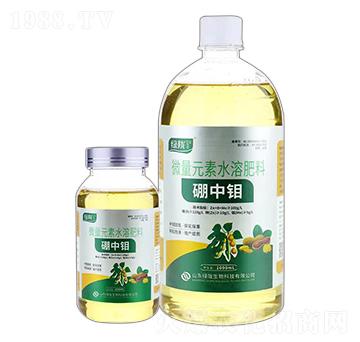 花生大豆專用微量元素水溶肥料-硼中鉬-綠隴生物