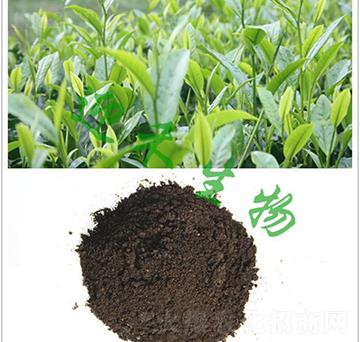 茶樹專用肥-迎禾生物