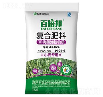 小麥專用復(fù)合肥料16-24-6-百倍邦-新洋豐