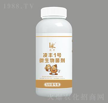 馬鈴薯專用微生物菌劑（水劑）-凌豐1號-東海生物