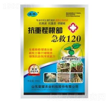 抗重茬根部急救120-根腫速凈-榮耀農(nóng)業(yè)