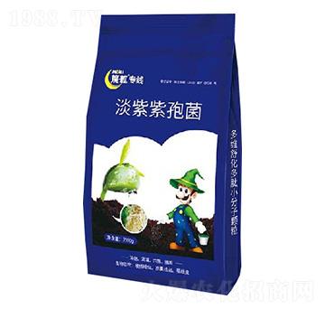 淡紫紫孢菌-魔粒專線-魔粒生物