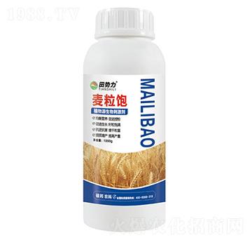 麥粒飽-植物源生物刺激劑-田勢(shì)力-碩邦農(nóng)業(yè)