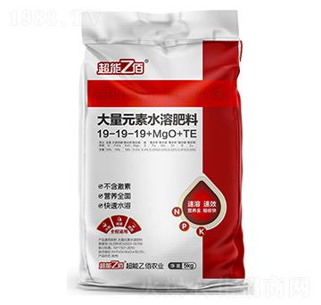 大量元素水溶肥料19-19-19+MgO+TE-超能乙佰