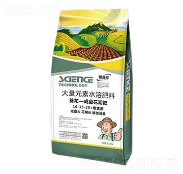 葵花·成盤花期專用大量元素水溶肥料16-15-20+維生素-魯?shù)掳? />
                                </div>
                            </div>
                            
                            <style type=