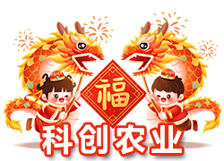 【山東聊城科創(chuàng)農(nóng)業(yè)】祝大家在新的一年里龍年大吉，萬事順意！